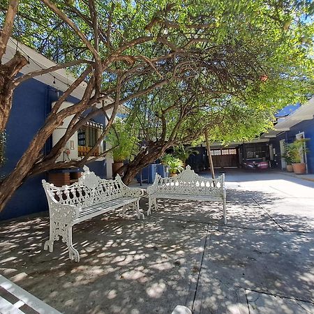 Casa Refugio Budget House 8 Rooms & 9 Bathrooms Oaxaca 外观 照片